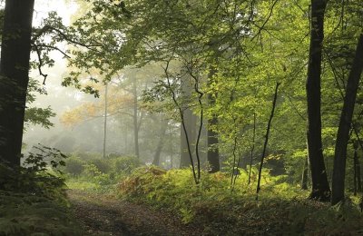 Le massif des trois forêts