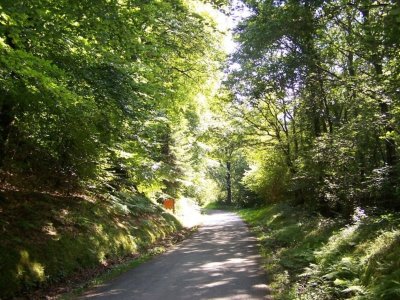 Forêt Domaniale de Valcongrain