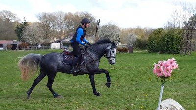 Centre Equestre de Verneuil-sur-Avre