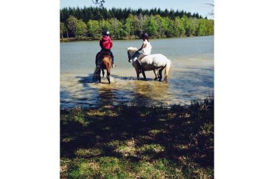 Les écuries de la Livarderie