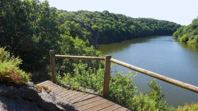 Forêt Départementale des Bords de l'Arguenon