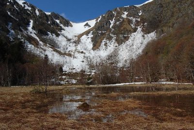 La réserve naturelle nationale du Frankenthal-Missheimle
