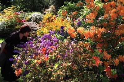 Les parcs et jardins