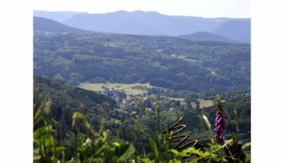 Point de lecture du paysage