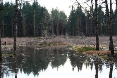 Réserve naturelle régionale de Rothmoos