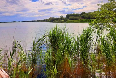 Etangs de Camargue et Coussouls de Crau