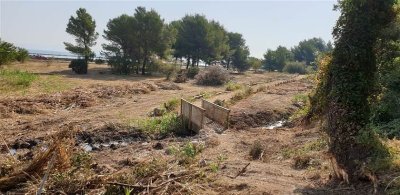 Etang "Sous Pradine" - Parc Henri Fabre