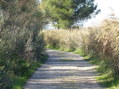 Sentier de la Petite Camargue de St Chamas