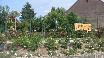 Jardin des roses