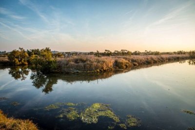 MARAIS BRETON VENDEEN