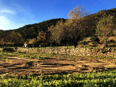 Maison des Associations Patriotiques