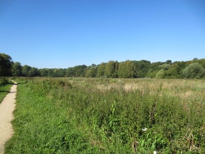 Espace naturel sensible du Grand Rozeau et des Près Blonds