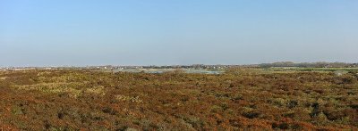 Réserve Naturelle du Platier d'Oye