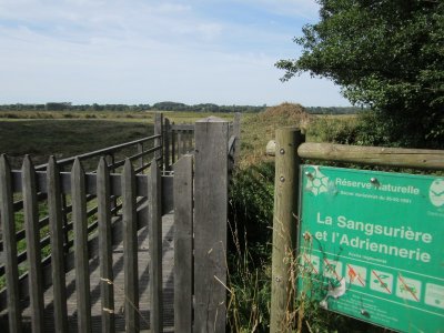 Réserve naturelle de la Sangsurière et de l'Adriennerie