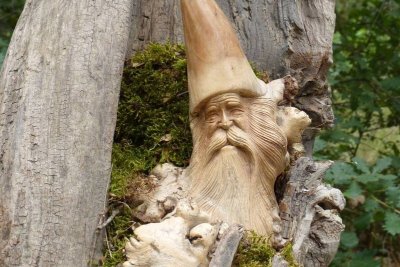 La Forêt Enchantée