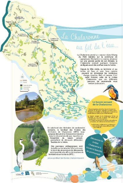 La Chalaronne au fil de l'eau N°6
