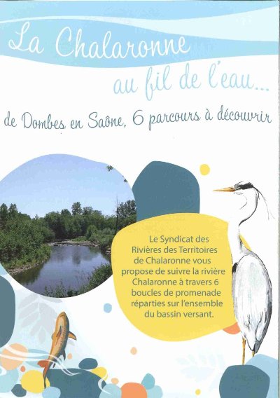 La Chalaronne au fil de l'eau N°4