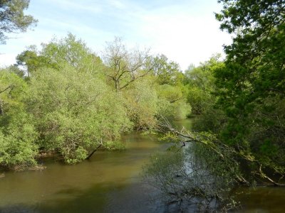 Les vallées de la Leyre