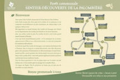 Sentier découverte Vieux-Boucau