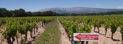 Le sentier vigneron de Trets
