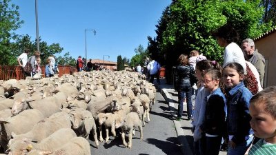 Sur les pas de la Transhumance