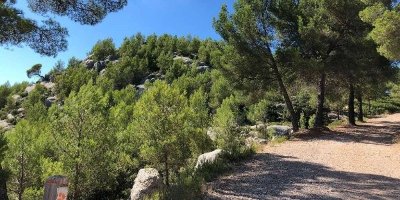 Roques hautes - circuit VTT 2