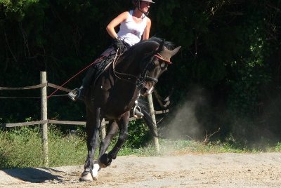 Les écuries du Regain