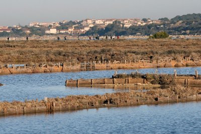 Les salins de Fos sur Mer
