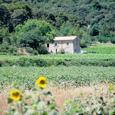 Rognes : Caireval - circuit VTT 2