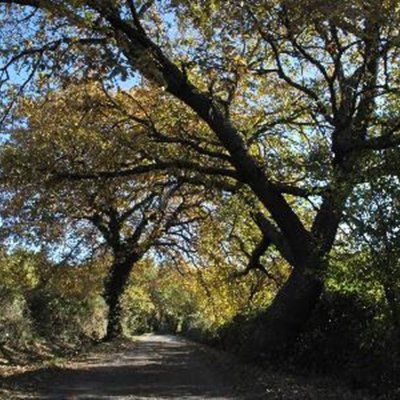 Rognes - Saint Estève Janson, La Chaîne des Côtes