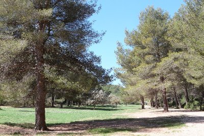 Parc Départemental de Roques Hautes