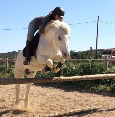 Club hippique Le Nagra