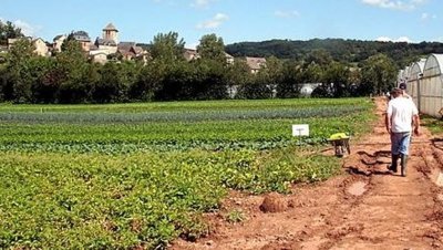 La Ferme d'Agen (GAEC) - Récolte à la ferme
