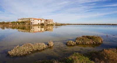 LES ANCIENS SALINS DE FRONTIGNAN