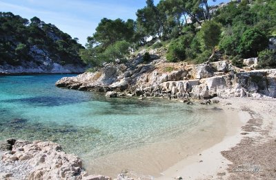 Plage Calanque de Port Pin