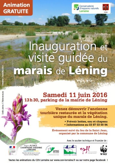 Marais et prairies humides de Léning