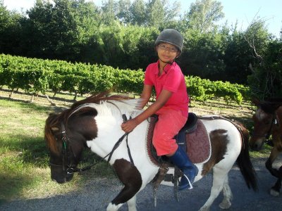 Écuries du Brégoux