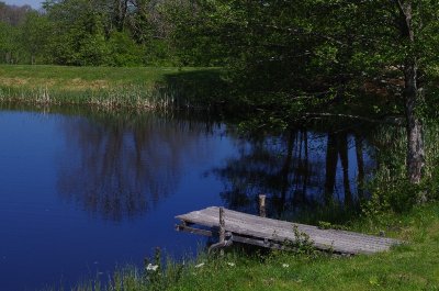 Piste de roller de l'étang du Charrais
