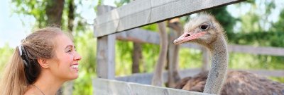 Ferme pédagogique du Père Louis