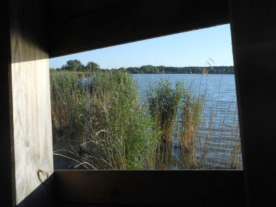 Observatoire à oiseaux