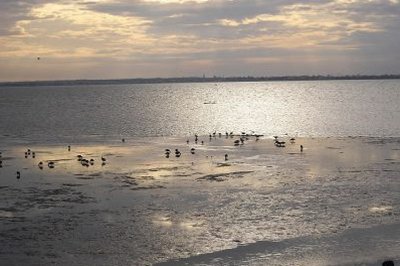 Sentier des Sablières