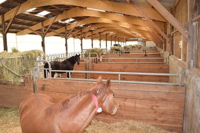 Equiprodress - Haras de Chatelville