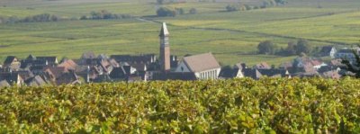 Bibliothèque municipale