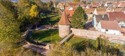 Bibliothèque municipale