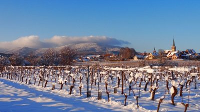 Circuit des deux capitales Strasbourg-Barr