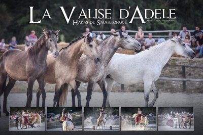 Haras de Saumelongue