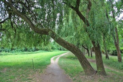 Circuit pédestre N°35 - "Les Hérissons"