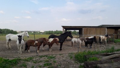 Les écuries de la croix d'Achères