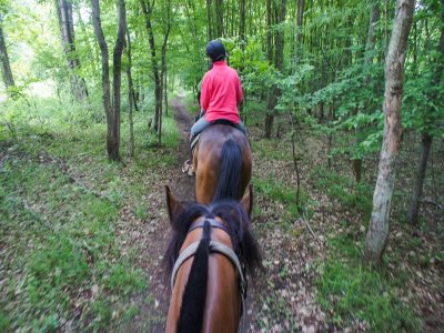 Centre équestre La Cavale