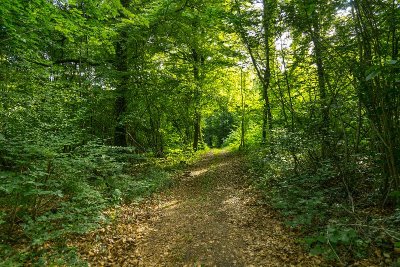 Circuit pédestre N°17a - "Les Trois Fontaines"